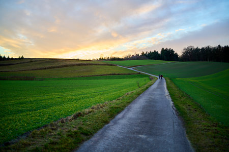Road between fields in a rural area. With a yellow and blue sunset. High-Danamic-Range (HDR)の写真素材