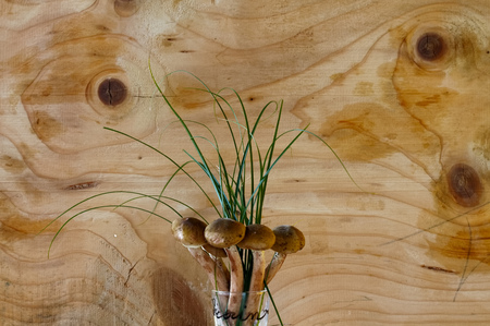 Honey fungus cocktail in glass  with wooden backgroundの写真素材