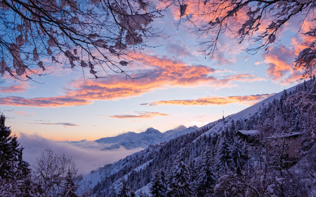 Beautiful sunset in the mountains with a natural frame of tree branches, Alps, Bielmonte, Italyの写真素材