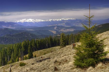 Ukrainian Carpathians in spring (Montenegrin backbone, April 2010)の写真素材