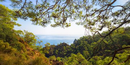 View through a pines to the Mediterranean Sea. Kemer district of Antalya Province, Turkey. Panoramaの写真素材
