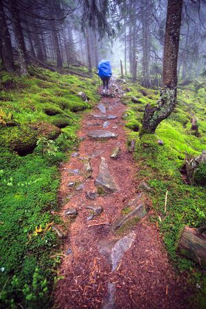 Tourist on a misty path in wild forest