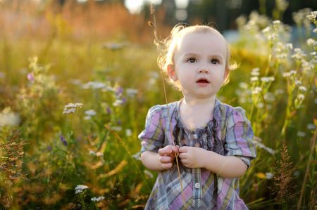 Little nice sweet baby walking in a meadowの写真素材