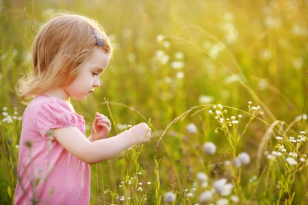 Adorable preschooler girl in a meadow at summer or autumnの写真素材
