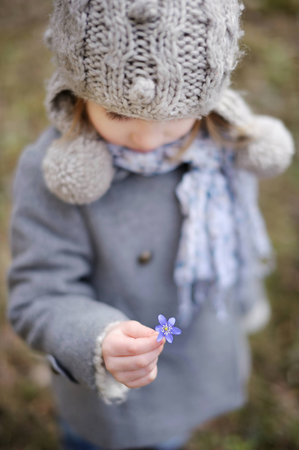 Little toddler girl holding a first flower of springの写真素材