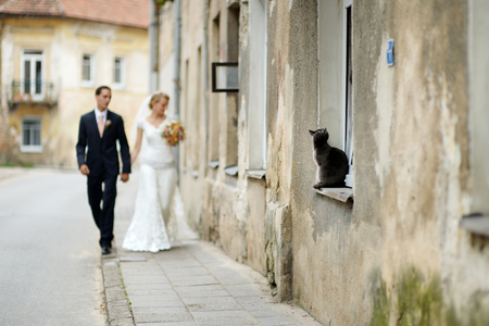 Happy bride and groom taking a walk togetherの写真素材