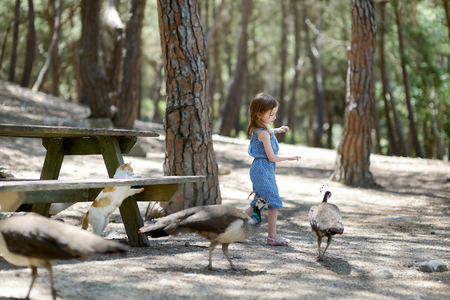 Adorable little girl feeding peacocks and catsの写真素材