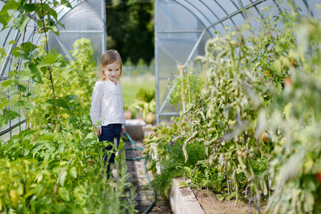 Adorable little gardener at greenhouse doorの写真素材