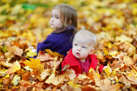 Children playing in foliage on beautiful autumn dayの写真素材