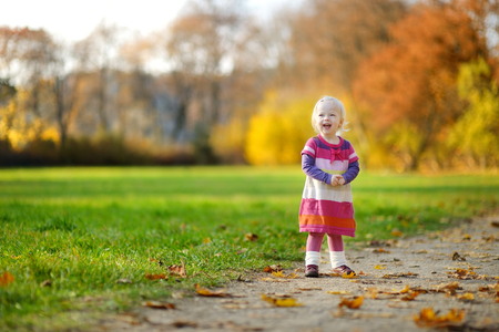 Adorable toddler girl portrait on beautiful autumn dayの写真素材