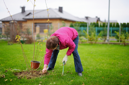 A woman planting a tree on a springの写真素材
