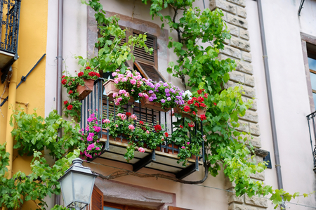 Beautiful italian balcony with variuos flowersの写真素材