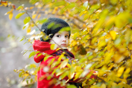 Adorable toddler having fun on beautiful autumn dayの写真素材