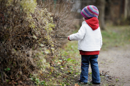 Adorable toddler playing with a stick on beautiful autumn dayの写真素材