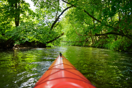 Kayak paddling on river through woodsの写真素材