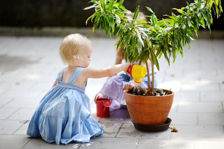 Cute little girl watering a plant in a potの写真素材