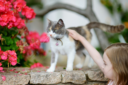 Cute little girl and a cat outdoorsの写真素材