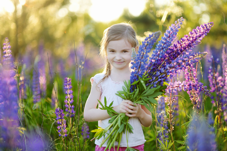 Cute little girl in blooming lupine fieldの写真素材