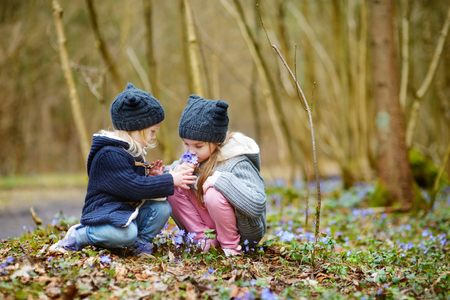 Two little sisters picking the first flowers of spring on beautiful spring dayの写真素材