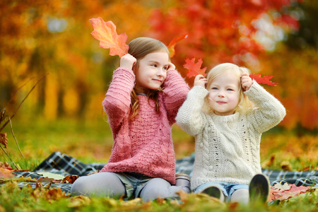 Two little sisters having fun together in beautiful autumn park on a sunny dayの写真素材