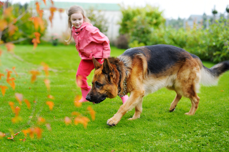 Happy little girl playing with a big dog in the gardenの写真素材