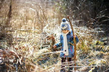 Adorable little girl hiking in forest on beautiful autumn dayの写真素材