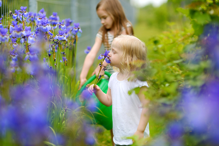 Two adorable happy little girls watering plants and flowers in the garden on warm and sunny summer dayの写真素材