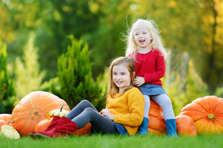Two little sisters playing with huge pumpkins on a pumpkin patchの写真素材