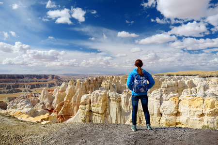 Hiker admiring views of stunning colorful sandstone formations of Coal Mine Canyon, Arizona, USAの写真素材