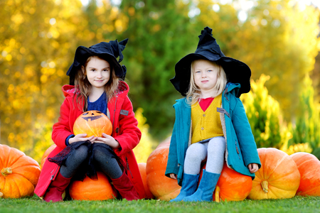 Adorable little girls wearing halloween costume having fun on a pumpkin patch on beautiful autumn dayの写真素材