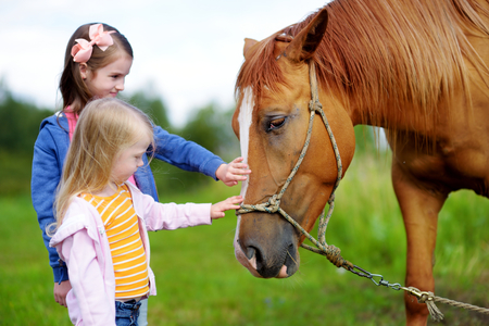 Two cute little sisters petting a horse in countryside on beautiful summer dayの写真素材