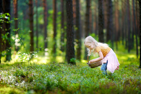 Adorable little girl picking foxberries in the forest on summer dayの写真素材