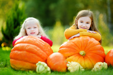 Two pretty little sisters having fun together on a pumpkin patch on beautiful autumn day outdoorsの写真素材