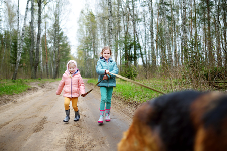 Two funny little sisters walking their dog on a forest hike on beautiful spring dayの写真素材