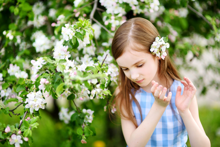 Adorable little girl in blooming apple tree garden on beautiful spring dayの写真素材
