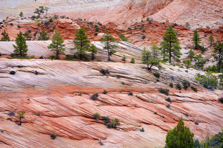 Scenic view of stunning red sandstone formations in Zion National Park in Utah, USAの写真素材