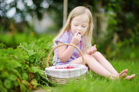 Cute little girl picking fresh wild strawberries on organic strawberry farm on warm and sunny summer dayの写真素材