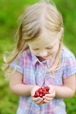 Cute little girl holding fresh wild strawberries picked at organic strawberry farmの写真素材