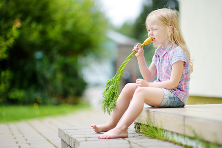 Cute little girl eating fresh organic yellow carrot harvested in a garden. Healthy nutrition for children. Kid eating vegetables.の写真素材