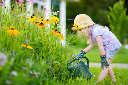 Cute little girl watering flowers in the garden at summer dayの写真素材