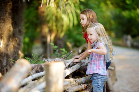 Two cute little sisters watching animals in the zoo on warm and sunny summer day. Children watching zoo animals standing by the fence. Active family leisure.の写真素材