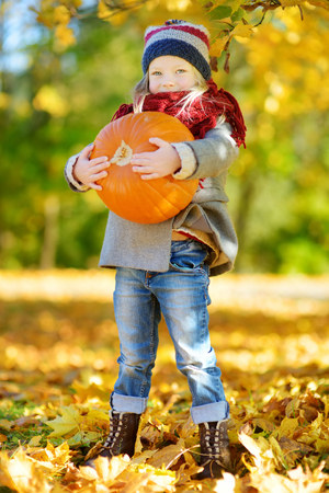 Adorable little girl having fun on a pumpkin patch on beautiful autumn day outdoors. Happy child playing in autumn park. Kid gathering yellow fall foliage. Autumn activities for children.の写真素材