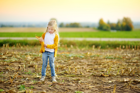 Adorable girl playing in a corn field on beautiful autumn day. Pretty child holding a cob of corn. Harvesting with kids. Autumn activities for children.の写真素材