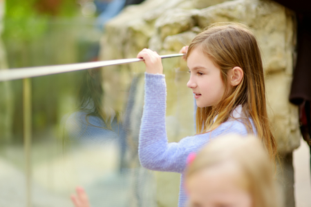 Cute little girl watching animals at the zoo on warm and sunny summer day. Child watching zoo animals through the window. Family time at zoo.の写真素材