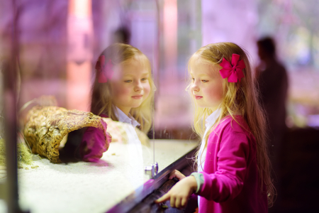 Cute little girl watching animals in the zoo. Child watching zoo animals through the window. Snakes in a terrarium.の写真素材