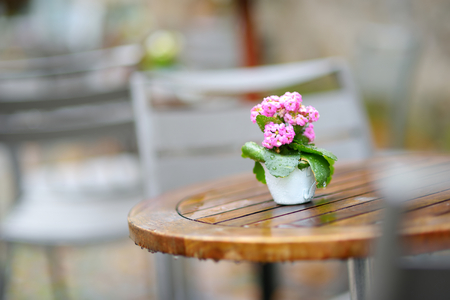 Empty outdoor cafe on beautiful rainy autumn day in Lindau, Germany. Empty chiars and tables under falling rain in autumn season.の写真素材