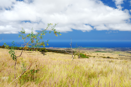 Beautiful landscape of south side of the Big Island of Hawaii, USA