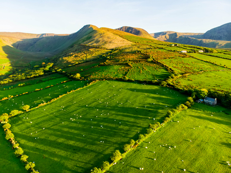 Aerial view of endless lush pastures and farmlands of Ireland. Beautiful Irish countryside with emerald green fields and meadows. Rural landscape on sunset.の写真素材