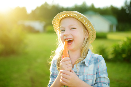 Cute little girl wearing straw hat holding a bunch of fresh organic carrots. Fresh healthy organic food for small kids. Family nutrition in summer.の写真素材