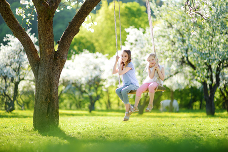 Two cute sisters having fun on a swing in blossoming old apple tree garden outdoors on sunny spring day. Spring outdoor activities for kids.の写真素材